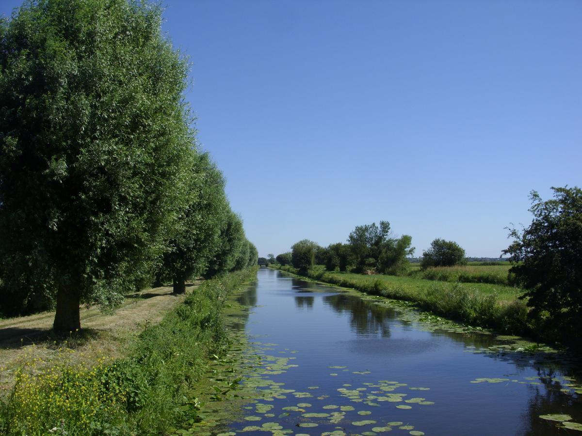 Gite A La Ferme Entre Terre Et Mer Hérenguerville Zewnętrze zdjęcie